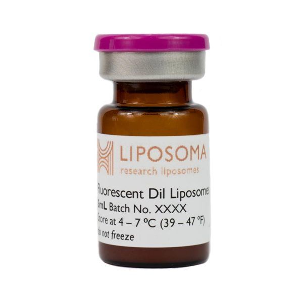 Fluorescent Dil Liposomes