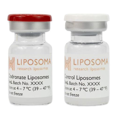 Clodronate Liposomes & PBS Liposomes