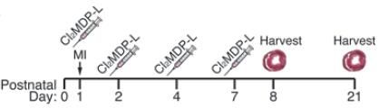 JCI-124-3-Fig1